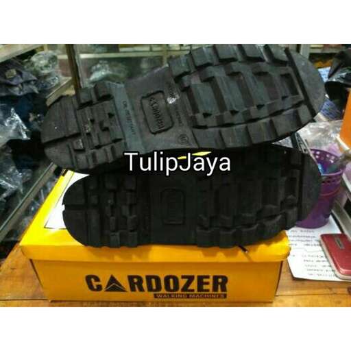 the new shoe in the box