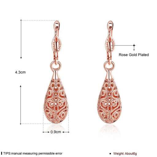 a pair of earrings with an intricate design.