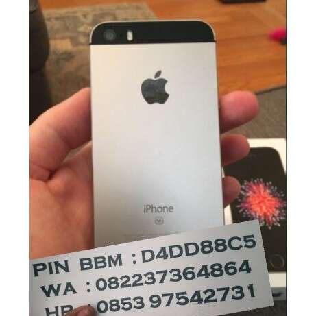 the back of the phone