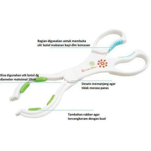 the anatomy of the toothbrush