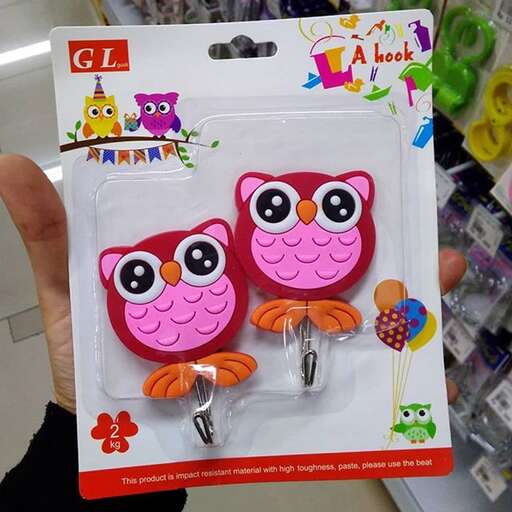 cute owl in a box