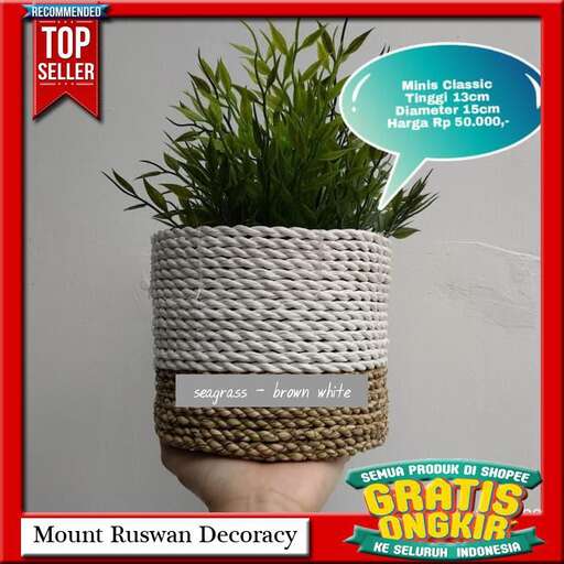 a planter with a plant in it.