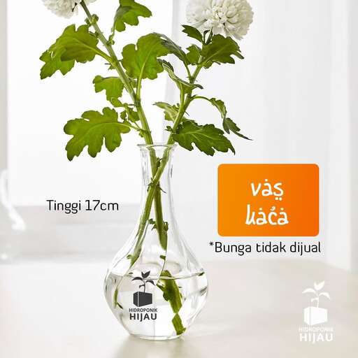 a vase with a flower in it and a white background.
