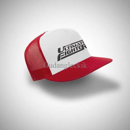 baseball cap with the logo