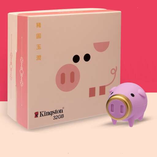 a box with a pig in it.