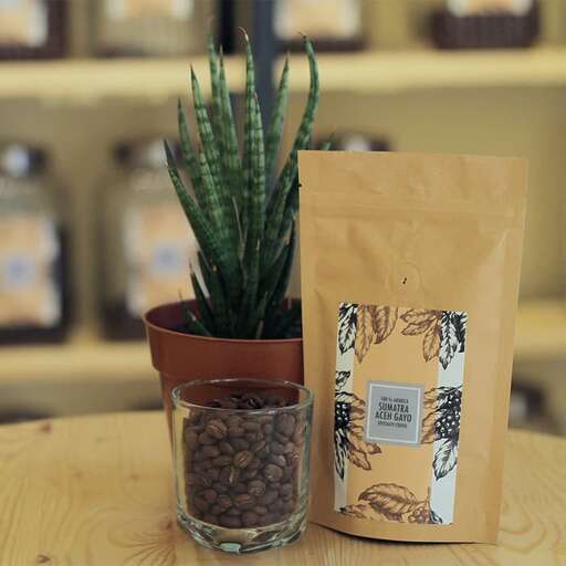 a cup of coffee and a plant