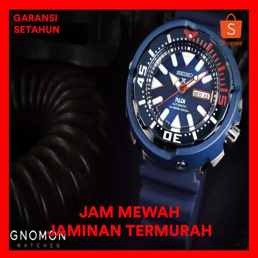the watch is the most expensive watch in the world