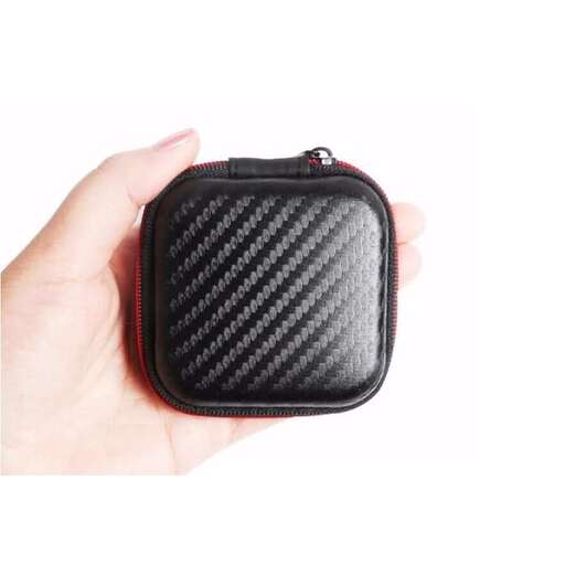 the case in the hand