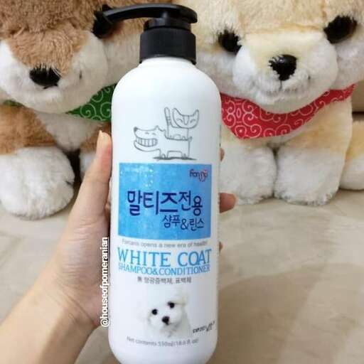 a person holding a white bottle of white dog.