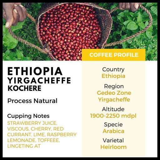 the most important foods you can find in the world