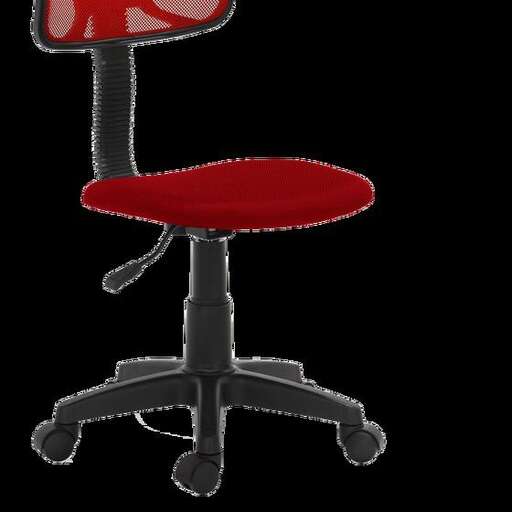 the chair in the office