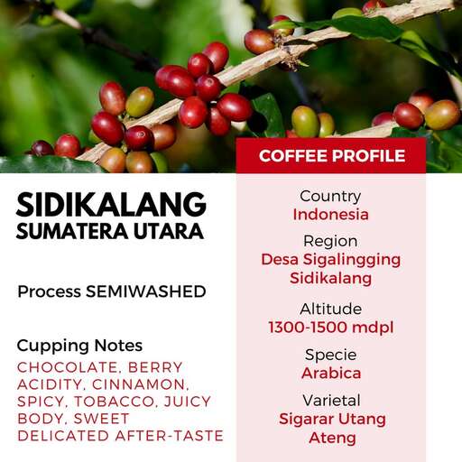 the benefits of coffee beans