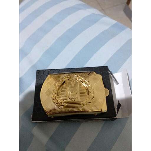 the gold plate is a replica of the ship that was used in the movie.