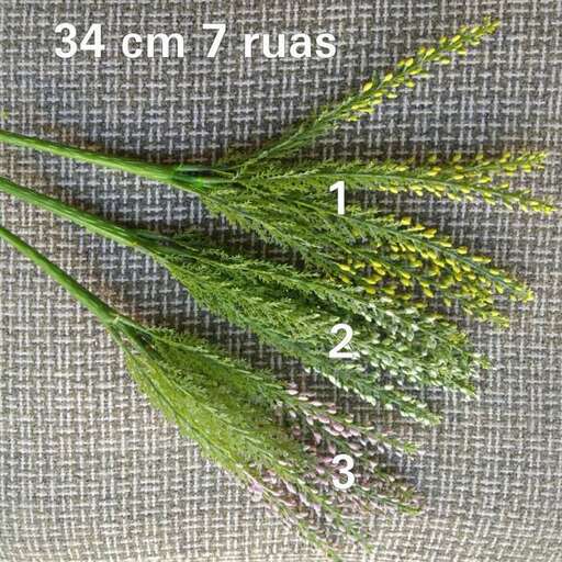 the stems of the flowers are green.