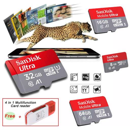 a set of labels for a cheetah