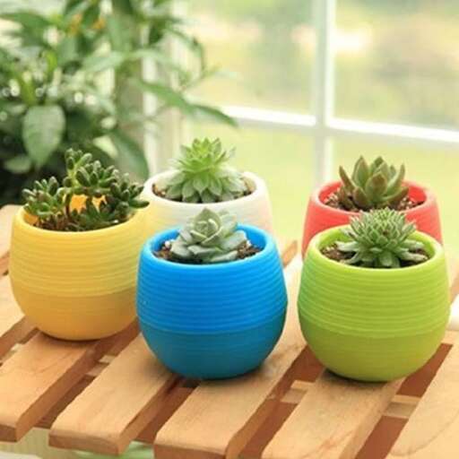 a collection of small ceramic planters.