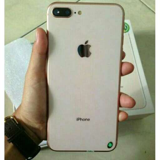 the iphone x is in the case.