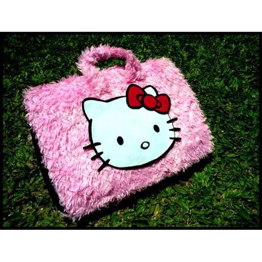 hello kitty bag in the grass