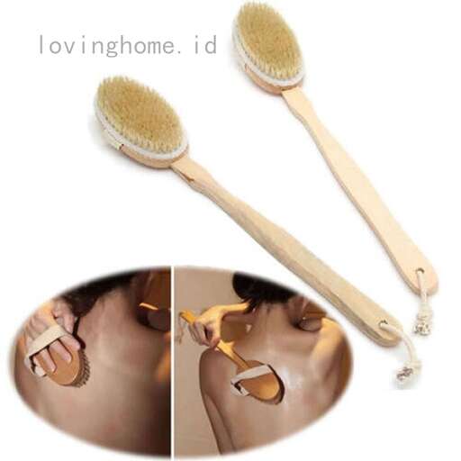 a set of brushes for the home.