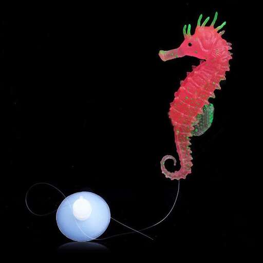 dragon with a string