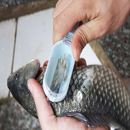 a person holding a fish in their hand