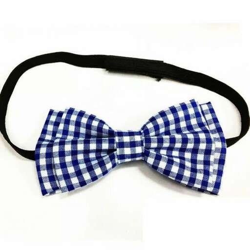 a bow tie with a bow tie.