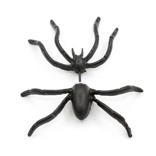 a black spider with a black body.