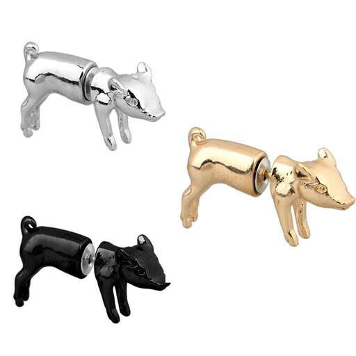 a dog in a bone shaped collar