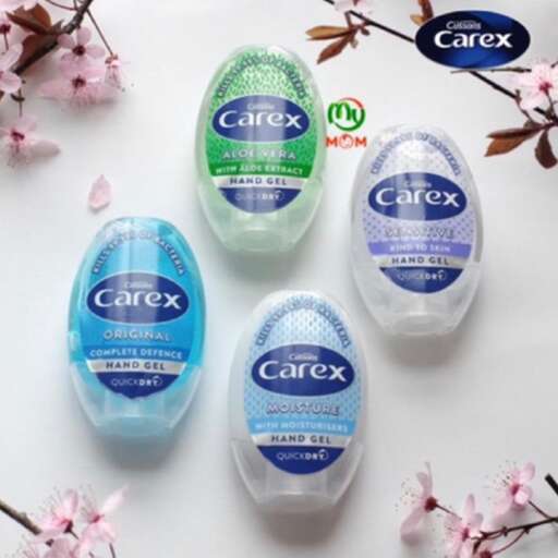 the beauty of the day