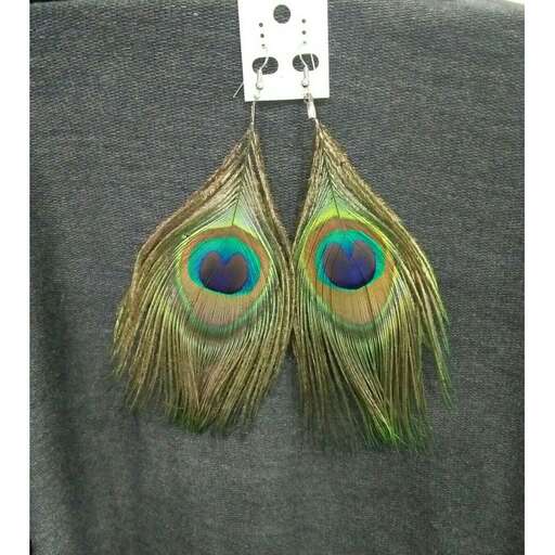 a pair of peacock feathers.