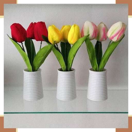 a group of vases with tulips in them.