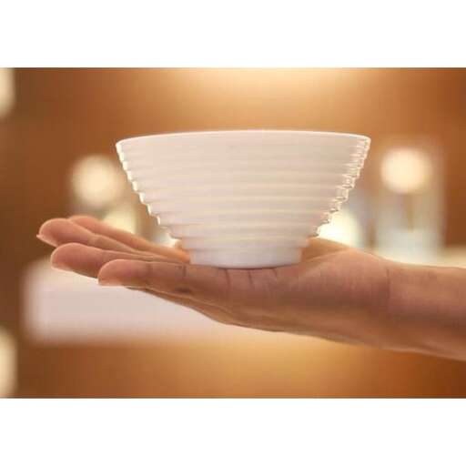 a hand holding a paper bowl in a hand.
