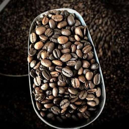 coffee beans in a plastic container