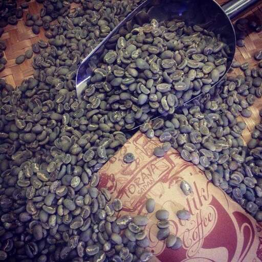 coffee beans are a good source of protein.