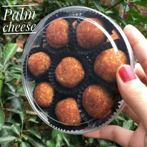 cheese and meatballs in a plastic container