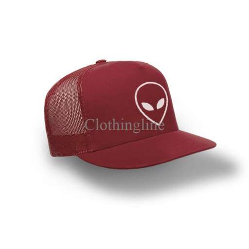 a cap for the baseball team