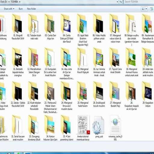 a computer screen with a row of books