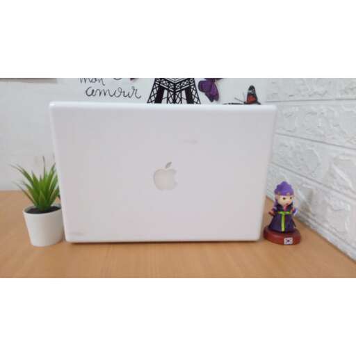a laptop with a plant in it