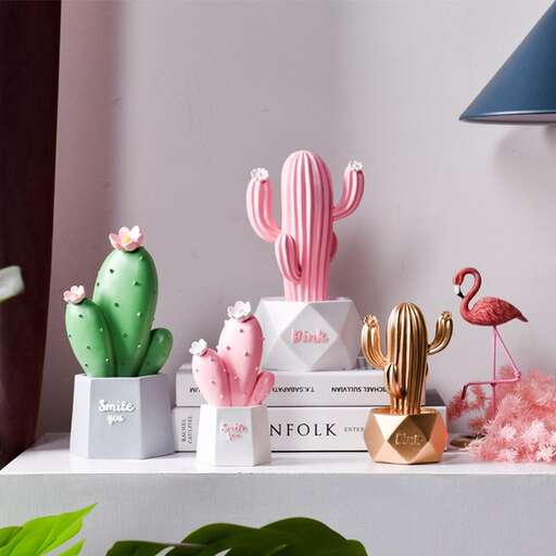 cactus and cactus in the living room