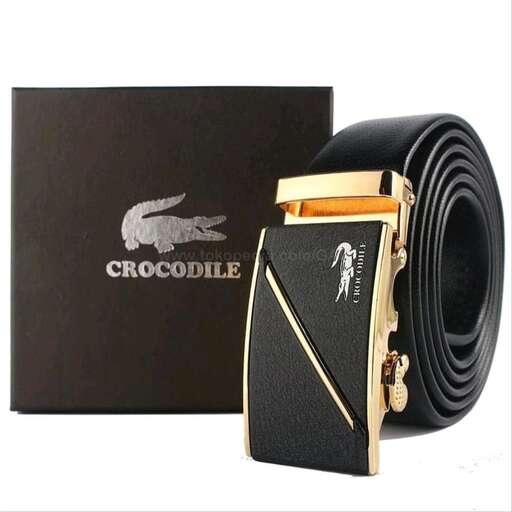 a leather belt with a black case and gold buckle.