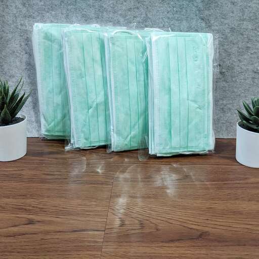 a couple of plants sitting on top of a wooden floor.