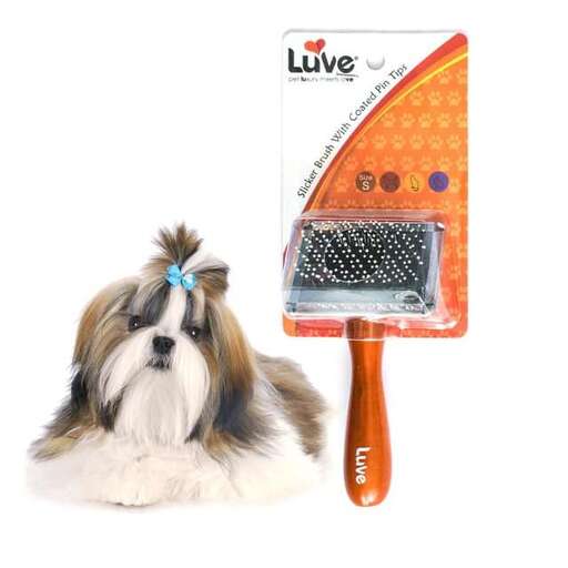 a dog that is holding a mop