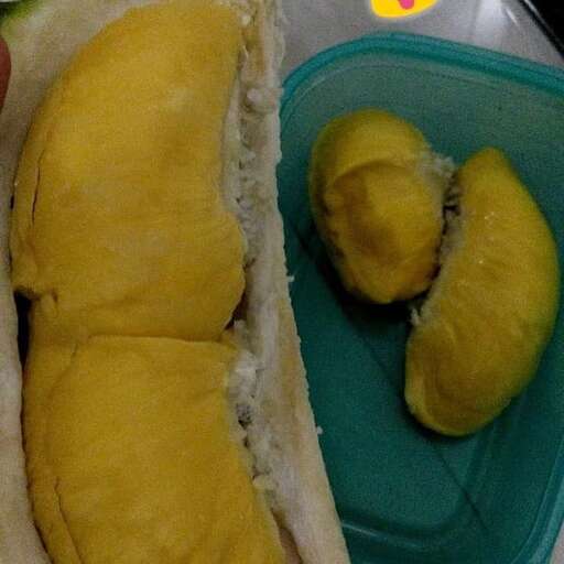 a sandwich with pickles and a pickle on a plate.