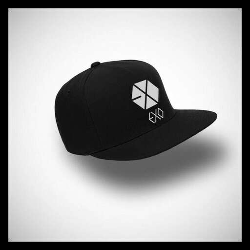 hat with the logo on it.