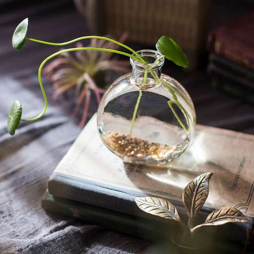 a plant in a glass jar