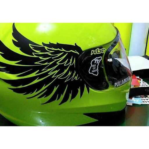 a green motorcycle helmet with a black bird on it.