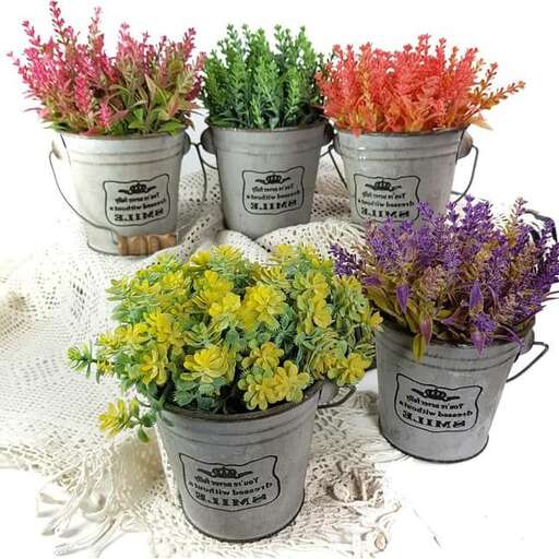 a collection of plants for sale