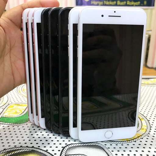 a person holding a cell phone in their hand.