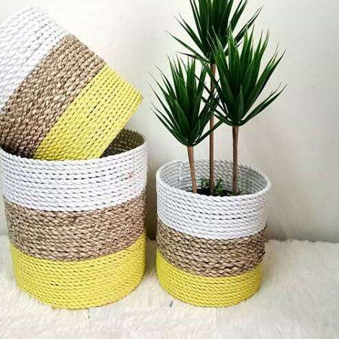 basket with a plant in it
