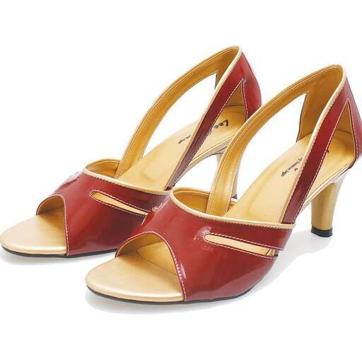 i'm not sure if i could have these shoes.